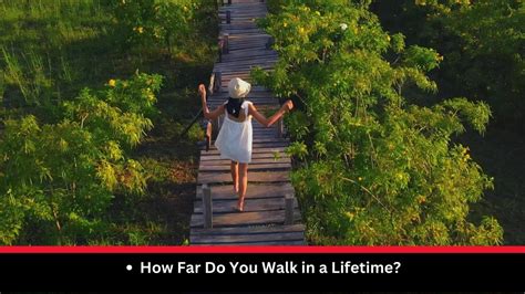 the walk of a lifetime 500 miles on the camino de