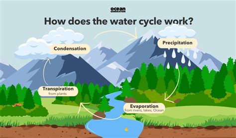 the water cycle at work