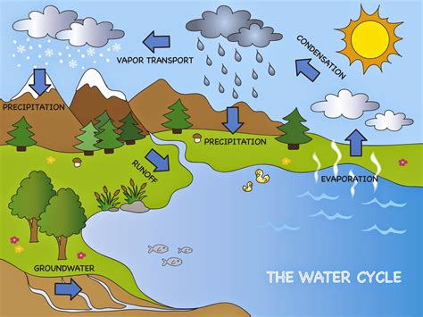 The Water Cycle For Elementary Ppt Slideshare Water Cycle Powerpoint 4th Grade - Water Cycle Powerpoint 4th Grade