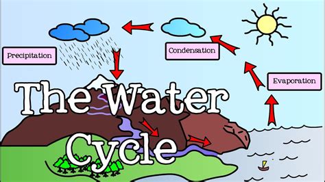 The Water Cycle For Kids Learn All About Water Cycle 1st Grade - Water Cycle 1st Grade