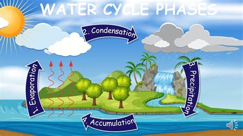 The Water Cycle Youtube Water Cycle 5th Grade Science - Water Cycle 5th Grade Science