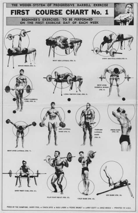 The Weider System Of Progressive Barbell Exercise Manual En Espa Ol