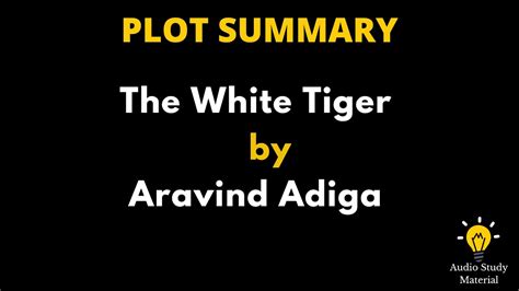 The White Tiger Summary