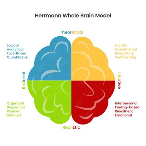 The Whole Brain Path To Peace By James Olson
