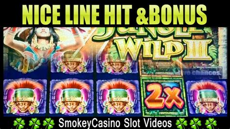 the wild 3 slot Beste Online Casino Bonus 2023