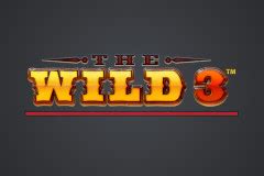 the wild 3 slot review belgium