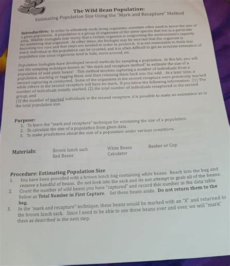 The Wild Bean Population Answer Key