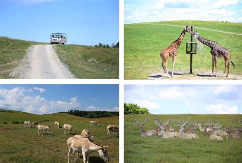 the wilds ohio
