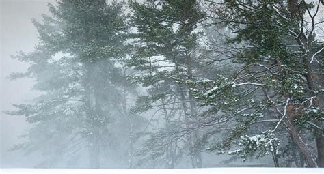 The Wind Of The Winter