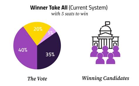 The Winner Take All System