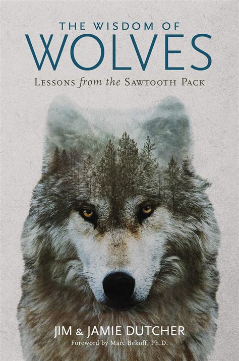 The Wisdom Of Wolves Lessons From The Sawtooth Pack