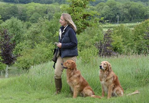the working retrievers the training care and hand
