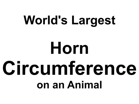 The World's Circumference