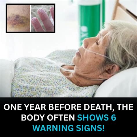 The Year Before Death