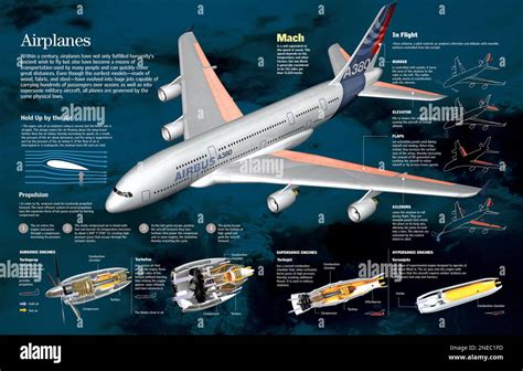 Read Online The Airbus System Guide 