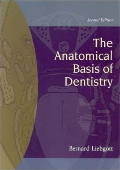 Download The Anatomical Basis Of Dentistry 2Nd Edition 