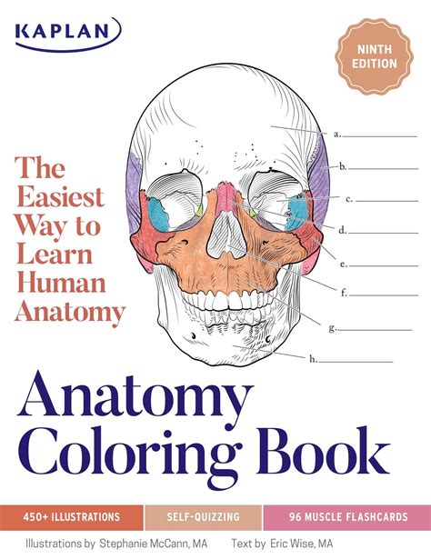 Read Online The Anatomy Coloring Book 2Nd Edition 