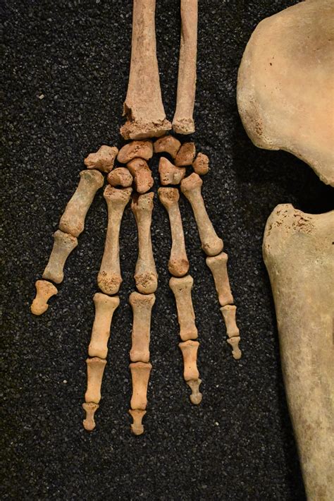 Read The Archaeology Of Human Bones 