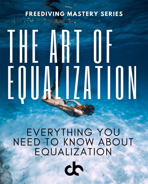 Read Online The Art Of Equalization 