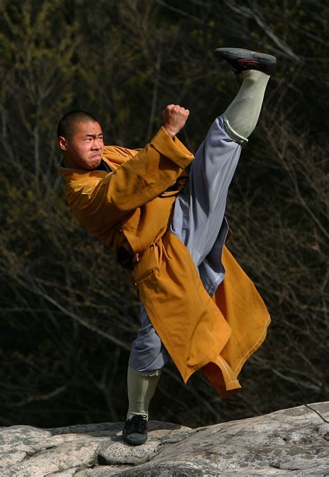 Read The Art Of Shaolin Kung Fu 