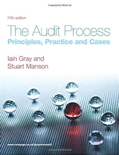 Download The Audit Process Principles Practice And Cases 