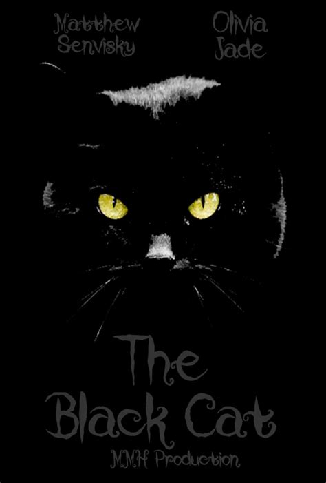 Download The Black Cat Retold 