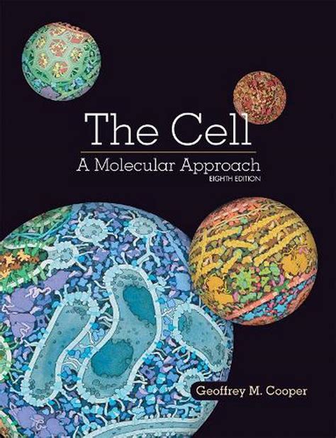 Read Online The Cell A Molecular Approach By Cooper Pdf Free Download 