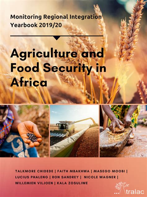 Read Online The Challenges Of Agricultural Production And Food Security In Africa 