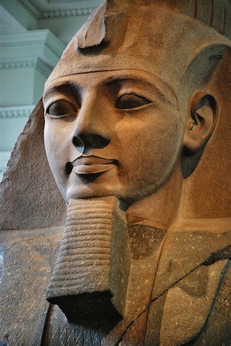 Read Online The Colossal Statue Of Ramesses Ii Objects In Focus 
