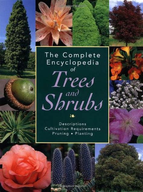 Download The Complete Encyclopedia Of Trees And Shrubs Descriptions Cultivation Requirements Pruning Planting 