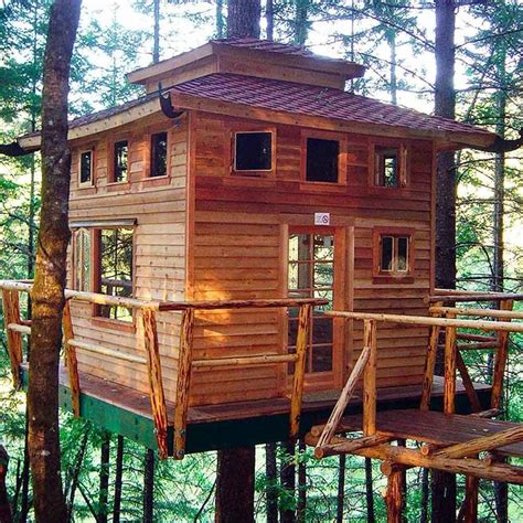Full Download The Complete Guide To Building Your Own Tree House 