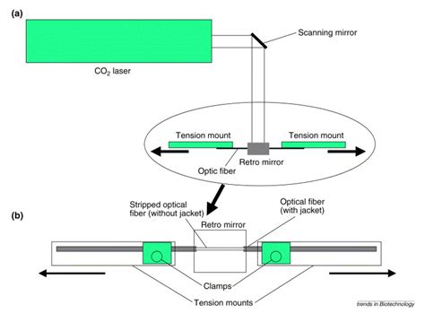 Read The Development Of Optical Nanosensors For Biological Measurements Pdf Book 