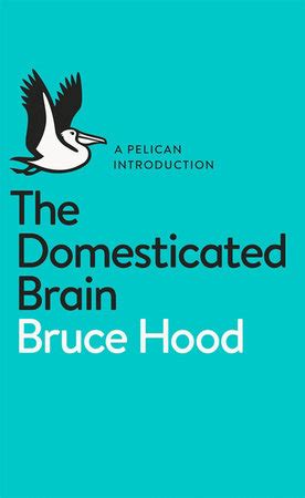Read Online The Domesticated Brain A Pelican Introduction Pelican Books 