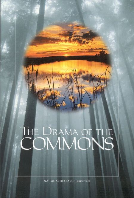 Full Download The Drama Of The Commons Dsuh 