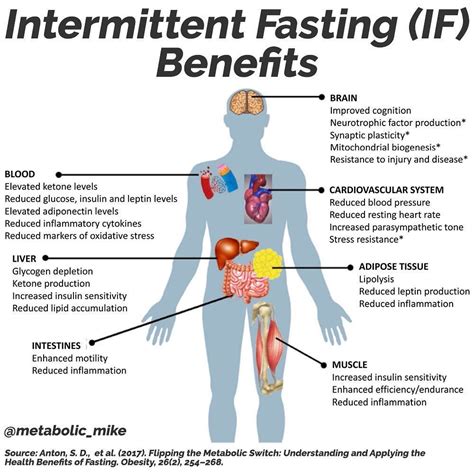 Read Online The Effects Of Fasting On Metabolism And Performance Bmj 