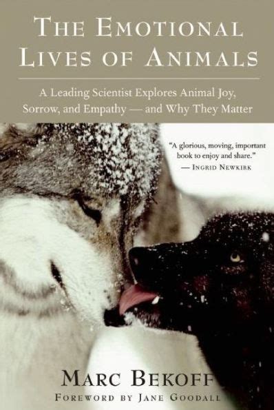 Read Online The Emotional Lives Of Animals A Leading Scientist Explores Animal Joy Sorrow And Empathy Aeur And Why They Matter 