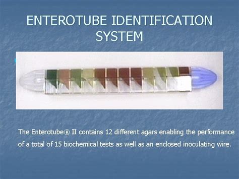 Full Download The Enterotube System In The Identification Of 