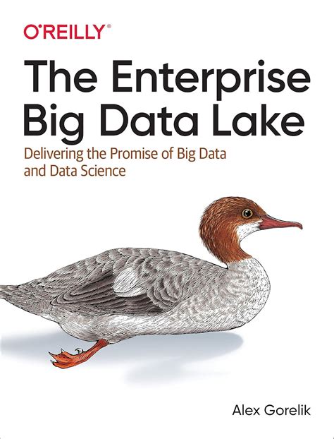 The Enterprise Big Data Lake: Delivering the Promise of Big Data and Data Science