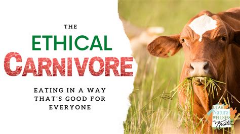 Full Download The Ethical Carnivore 