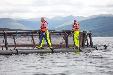 Read Online The Fish Farming Planning Protocol 