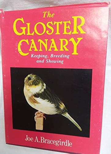 Read The Gloster Canary 1989 170 Pages Joe Bracegirdle 