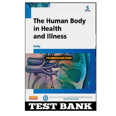 Full Download The Humman Body In Health And Illness 5Th Editon Herilhy Study Guide Key 