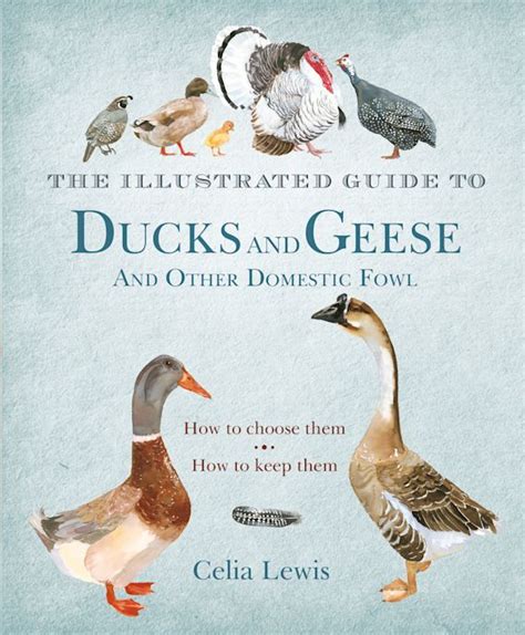 Read The Illustrated Guide To Ducks And Geese And Other Domestic Fowl How To Choose Them How To Keep Them Celia Lewis 
