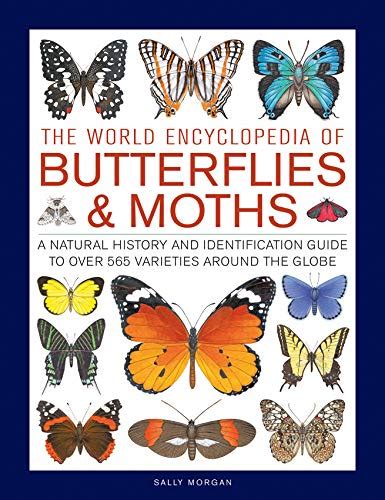 Read The Illustrated World Encyclopaedia Of Butterflies And Moths A Natural History And Identification Guide To Rare And Familiar Species 