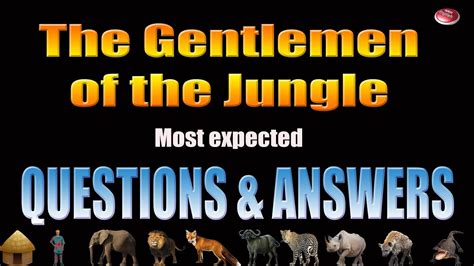 Download The Jungle Questions And Answers 