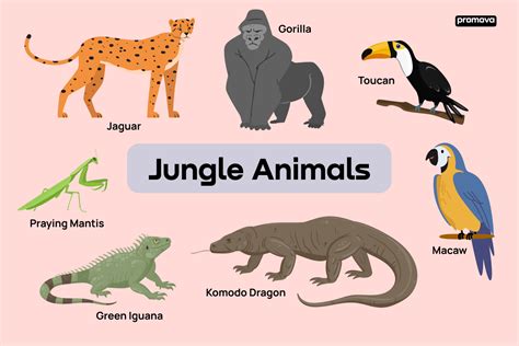 Download The Jungle Wikispaces 