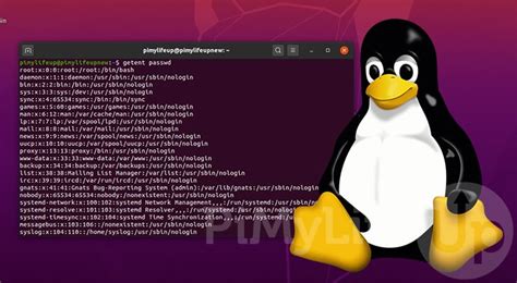 Read Online The Linux Users Guide 