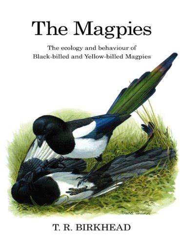 Download The Magpies The Ecology And Behaviour Of Black Billed And Yellow Billed Magpies 