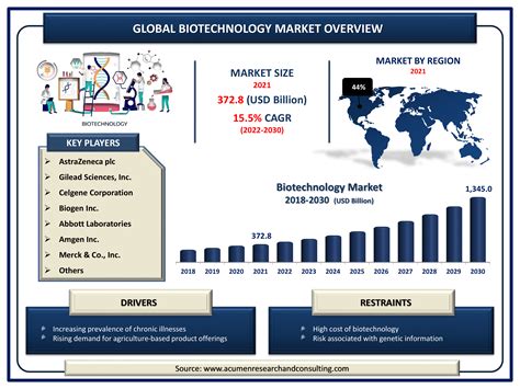 Read Online The Market Valuation Of Biotechnology Firms And 