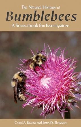 Read Online The Natural History Of Bumblebees A Sourcebook For Investigations 